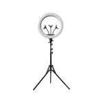 Light & Vision Orbit Ring LED körlámpa