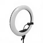 Light & Vision Orbit Ring LED körlámpa